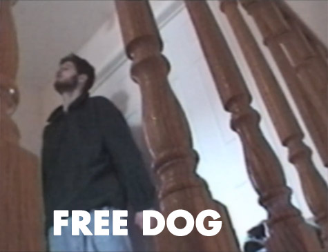 Free Dog